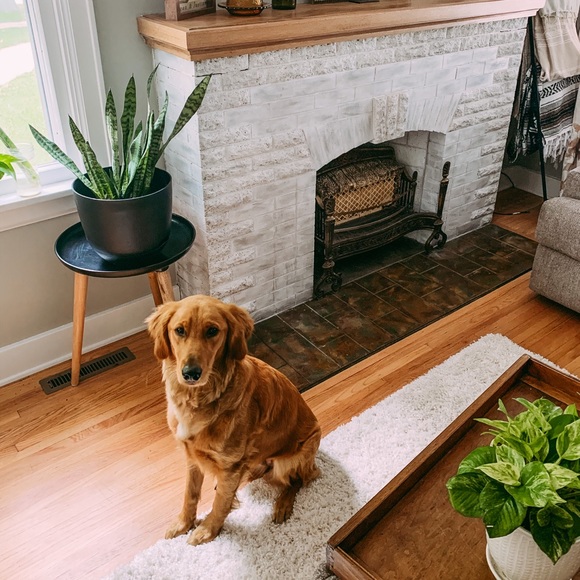 Hi! I’m Megan & I’m a Posher!! - Picture 4 of 4